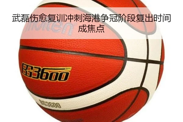 武磊伤愈复训冲刺海港争冠阶段复出时间成焦点 | odsports