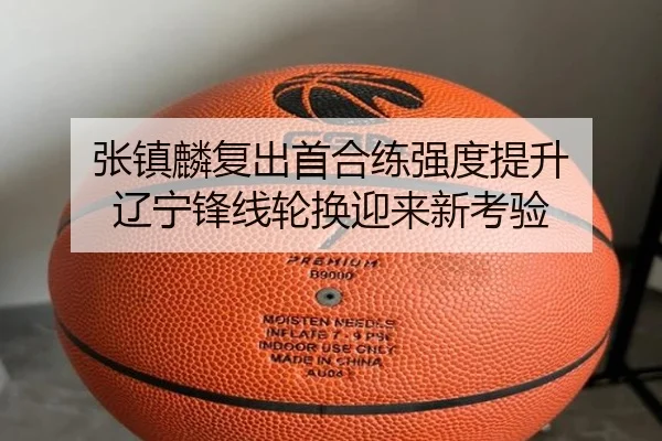 张镇麟复出首合练强度提升 辽宁锋线轮换迎来新考验 - odsports
