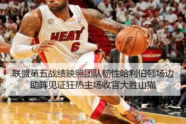 联盟第五战绩映照团队韧性哈利伯顿场边助阵见证狂热主场收官大胜山猫 | odsports