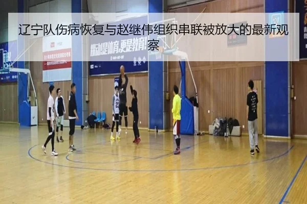 辽宁队伤病恢复与赵继伟组织串联被放大的最新观察 - odsports